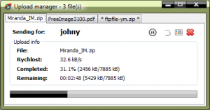 FTP File YM (picture taken from addons.miranda-im.org)